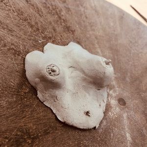 Meet your Posher, Carrie